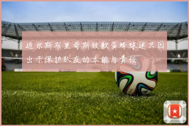 迈尔斯布里奇斯致歉黄蜂球迷只因出于保护队友的本能与责任