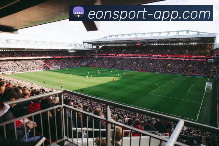 App Interface Preview